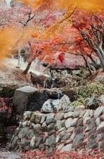 澳门10大正规赌场-澳门10大正规赌场，历史、特色与影响